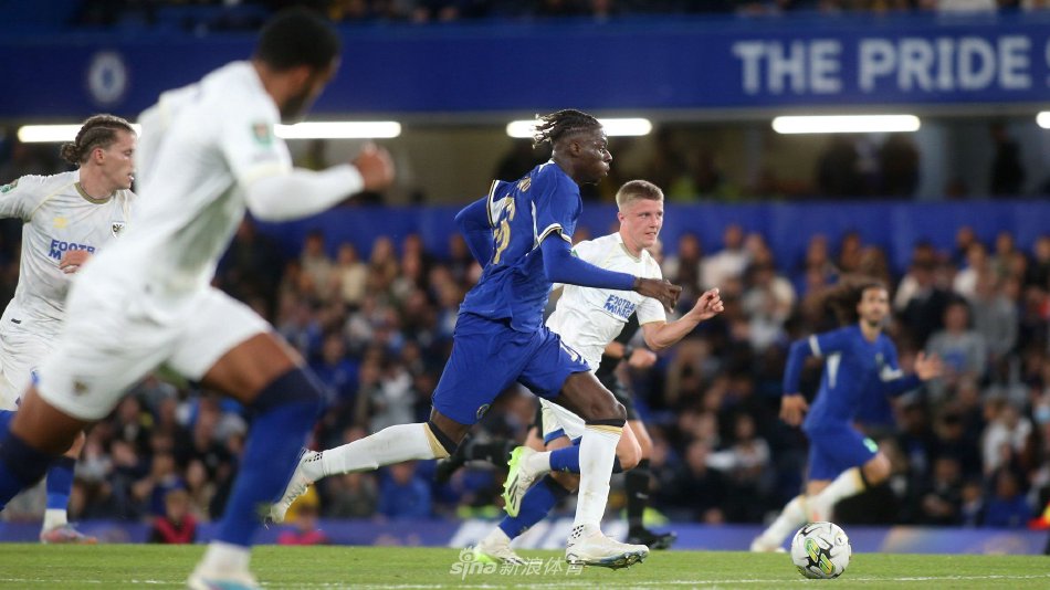 数据显示 数据显示