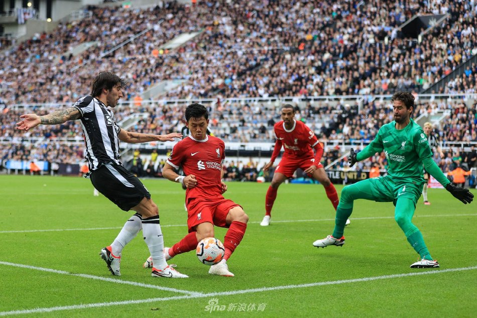 王奕博的加 王奕博的加